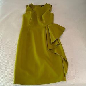 Beautiful NWT Teri Jon Size 10 (avocado) green dress